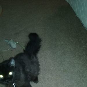 Meet your Posher, Beth